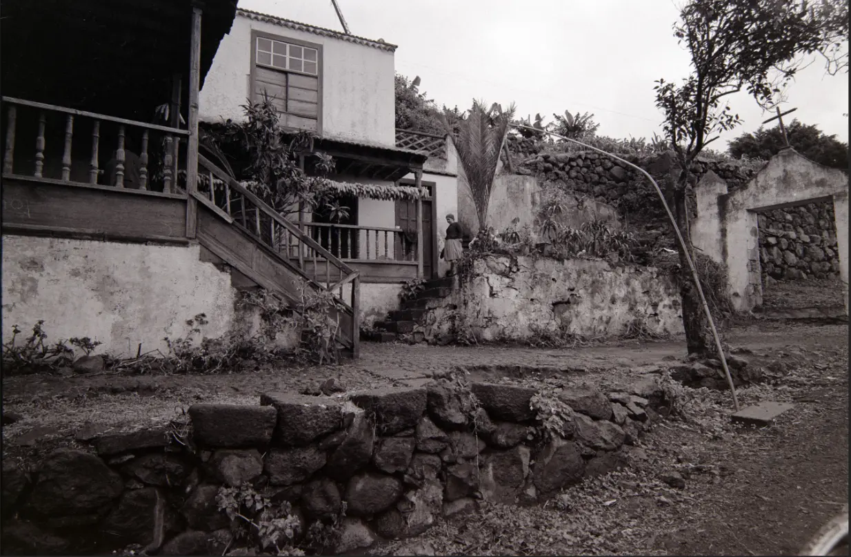 Vélez de Ontanilla o Pinto de Guisla - Las Nieves